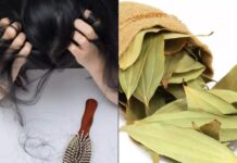 চুলের সমস্যা সমাধানে এই পাতা!