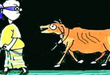 ঈদগাঁও-এ ফিল্ম স্টাইলে ঘটলো গরু চুরি