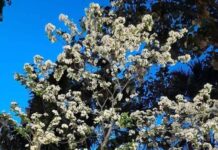 চট্টগ্রাম: রবিবার, ১৪ বৈশাখ ১৪৩২, ২৭ এপ্রিল ২০২৫, ২৮ শাওয়াল ১৪৪৬