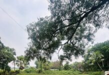 চট্টগ্রাম: বুধবার, ১৭ বৈশাখ ১৪৩২, ৩০ এপ্রিল ২০২৫, ০২ জিলকদ ১৪৪৬