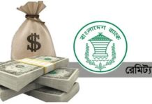 নভেম্বরের ৯ দিনে এলো ৯৭ কোটি ডলার রেমিট্যান্স