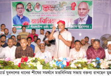 রাষ্ট্র মেরামতে অংশ নিন, ধানের শীষে ভোট দিন: মুহাম্মদ শাহেদ