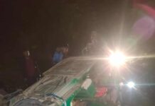 কাপ্তাই-আসামবস্তী সড়কে বন্যহাতির আক্রমণে নিহত ১