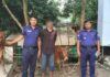 ঈদগাঁওয়ে চোরাই গরুসহ চক্রের ১ সদস্য আটক