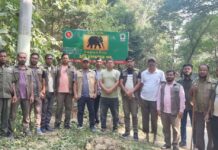 কাপ্তাই-আসামবস্তী সড়কে নির্বিঘ্নে হাতির চলাচলে গণসচেতনতায় বিলবোর্ড স্থাপন