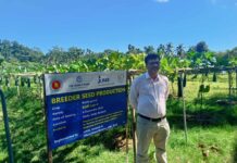 বারি-৪ লাউ চাষে সফলতা পেল রাইখালী কৃষি গবেষণা কেন্দ্র