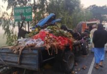 মিরসরাইয়ে চলন্ত গাড়ির পেছনে পিকআপের ধাক্কা, নিহত ১, আহত ২