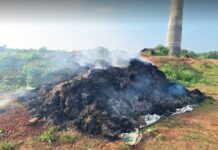 রাউজানে রাতের আধারে দুর্বৃত্তরা এক কৃষকের ধান পুড়িয়ে দিয়েছে