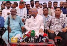 দেশে যত সংকট দেখছেন সব তৈরি করা আর নাটক: মির্জা ফখরুল