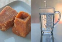 শীতকালে ফুসফুস ভালো রাখবে যেসব পানীয়