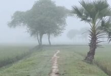 পঞ্চগড়ে তাপমাত্রা ১৩.৪ ডিগ্রি, শৈত্যপ্রবাহের আভাস