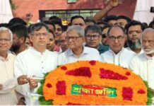 গণতন্ত্র ধ্বংসের নতুন চক্রান্ত চলছে: মির্জা ফখরুল