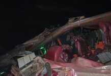 সীতাকুণ্ডে বাস–ট্রাক সংঘর্ষে ৫ জন নিহত, আহত ২০