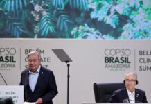 কপ ৩১ শীর্ষ সম্মেলন হবে তুরস্কে