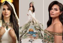 বিশেষ পোশাকে মিস ইউনিভার্সের মঞ্চে আলোচনায় ফিলিস্তিনি সুন্দরী