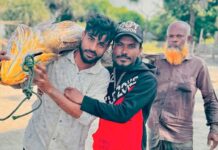 সেন্টমার্টিনে ধরা পড়ল ৩৩ কেজি ওজনের পোয়া