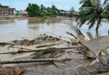 ইন্দোনেশিয়ায় বন্যায় মৃতের সংখ্যা ২০০ ছাড়িয়েছে