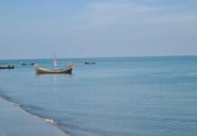 আরাকান আর্মি ২ ট্রলারসহ ১৩ বাংলাদেশি জেলেকে ধরে নিয়ে গেছে