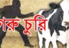 মিরসরাইয়ে গরু চুরি বেড়েই চলেছে, একরাতে ৮ গরু চুরি!