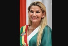 ৫ বছর পর মুক্তি পেলেন বলিভিয়ার সাবেক প্রেসিডেন্ট আনেজ