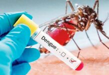 গত ২৪ঘণ্টায় ডেঙ্গুতে মৃত্যু ৪, নতুন আক্রান্ত ৯২০