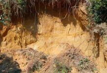 মিরসরাইয়ে অবৈধভাবে পাহাড় কাটায় বাঁধা দেওয়ায় হামলায় বন কর্মকর্তা সহ আহত ৪