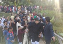 নির্বাচিত হই আর না হই ব্রিজ অবশ্যই করে দিব- হুমাম কাদের চৌধুরী