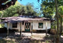 মুক্তিযুদ্ধে কাপ্তাইয়ের ‘সবুজ সংঘ’ ক্লাবের ঐতিহাসিক ভূমিকা