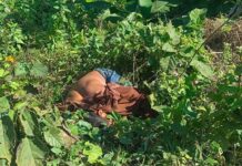 মিরসরাইয়ে রেললাইনের পাশ থেকে অজ্ঞাত যুবকের মরদেহ উদ্ধার