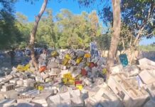 ঈদগাঁওয়ে শতাধিক পশুর অস্বাভাবিক মৃত্যু, হুমকিতে জনস্বাস্থ্য