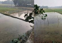 ঈদগাঁওয়ে সেচ নালা বন্ধ, সবজি ক্ষেত ডুবে নষ্ট