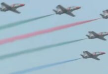 মনোমুগ্ধকর ‘এয়ার শো’, দর্শনার্থীদের বাঁধভাঙা উচ্ছ্বাস