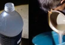 চবিতে গোপন মদ তৈরির কারখানার সন্ধান, মদসহ আটক ২