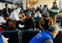 লিবিয়া থেকে দেশে ফিরলেন আরও ৩১০ বাংলাদেশি