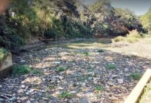 কলকারখানার বিষাক্ত বজ্য পড়ছে হালদায়, মা মাছসহ জীববৈচিত্র্য হুমকির মুখে