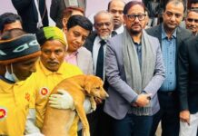 চট্টগ্রাম নগরীকে জলাতঙ্কমুক্ত করতে চসিক কর্তৃক কুকুরের টিকাদান শুরু