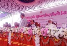 গণভোট নিয়ে সব রাজনৈতিক দল একমত : আলী রীয়াজ