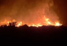 মাতারবাড়ী তাপবিদ্যুৎ কেন্দ্রের স্ক্র্যাপ ইয়ার্ডে আগুন