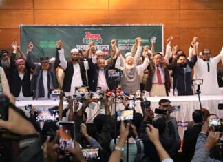 ১১ দলীয় জোটের সমঝোতা, কোন দল কত আসন পেল