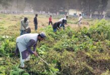রাউজান রশিদর পাড়ায় হক কমিটির মসজিদ কবরস্থান পরিস্কার ও খতমে কোরআন মিলাদ