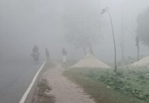 শীতের তীব্রতা কি ফের বাড়তে পারে, যা বলছে আবহাওয়া অধিদফতর