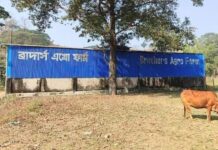 সীতাকুণ্ডে ‘ব্রাদার্স অ্যাগ্রো’র কর্মীকে কুপিয়ে জখম, ৭ গরু লুট