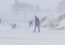 তুষারঝড়-তীব্র ঠান্ডায় বিপর্যস্ত যুক্তরাষ্ট্র, মৃত্যু ৩০