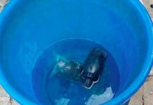 বান্দরবানে ঝিরির পাশে খেলার সময় শিশুরা পেলো ২ গ্রেনেড