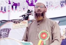 রাজনীতিতে আর মাস্তানি চলবে না: মামুনুল হক