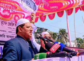 দাঁড়িপাল্লার এক পাল্লায় আমেরিকা, অন্য পাল্লায় ভারত: চরমোনাই পীর