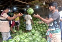 তরমুজে ভরে গেছে আড়ত, দাম পড়তির দিকে