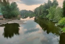 ঈদগাঁওয়ে মৃত প্রায় দেড় ডজনাধিক খাল!