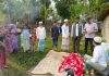 ঈদগাঁওয়ে বন্য হাতির আক্রমণে কৃষকের মৃত্যু