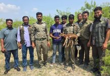 মিরসরাইয়ে হরিণ শাবক উদ্ধার, পরে বনে অবমুক্ত